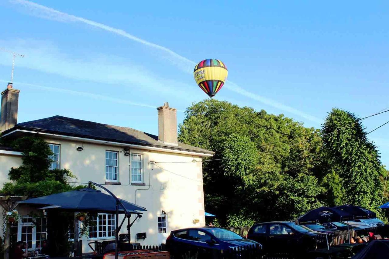 The Dove Inn Micheldever Eksteriør billede