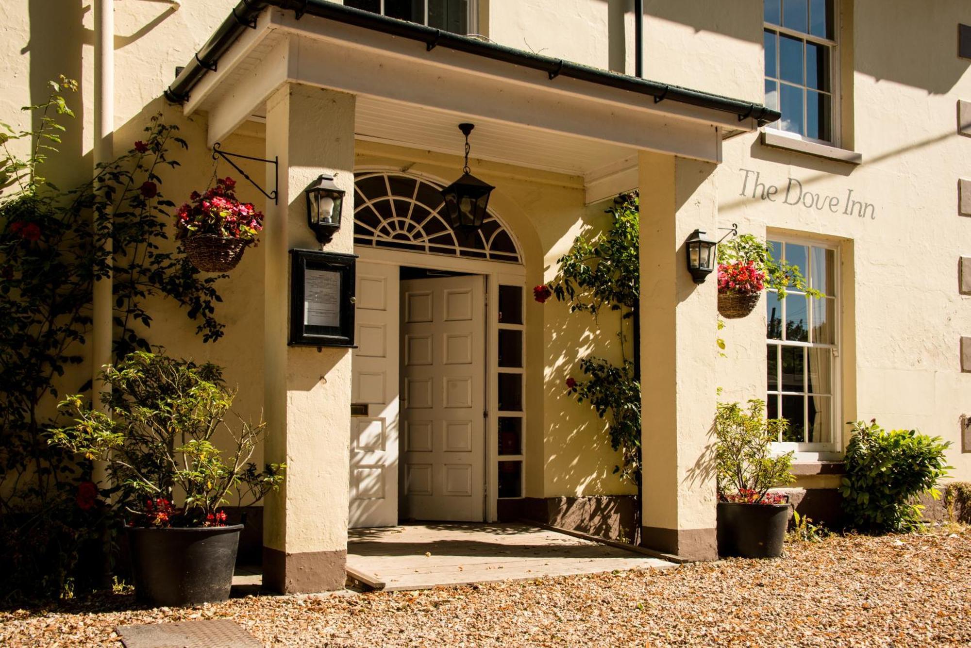 The Dove Inn Micheldever Eksteriør billede